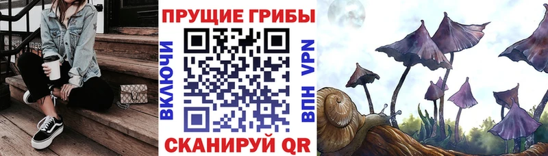 Галлюциногенные грибы MAGIC MUSHROOMS  Купить закладки  Череповец 